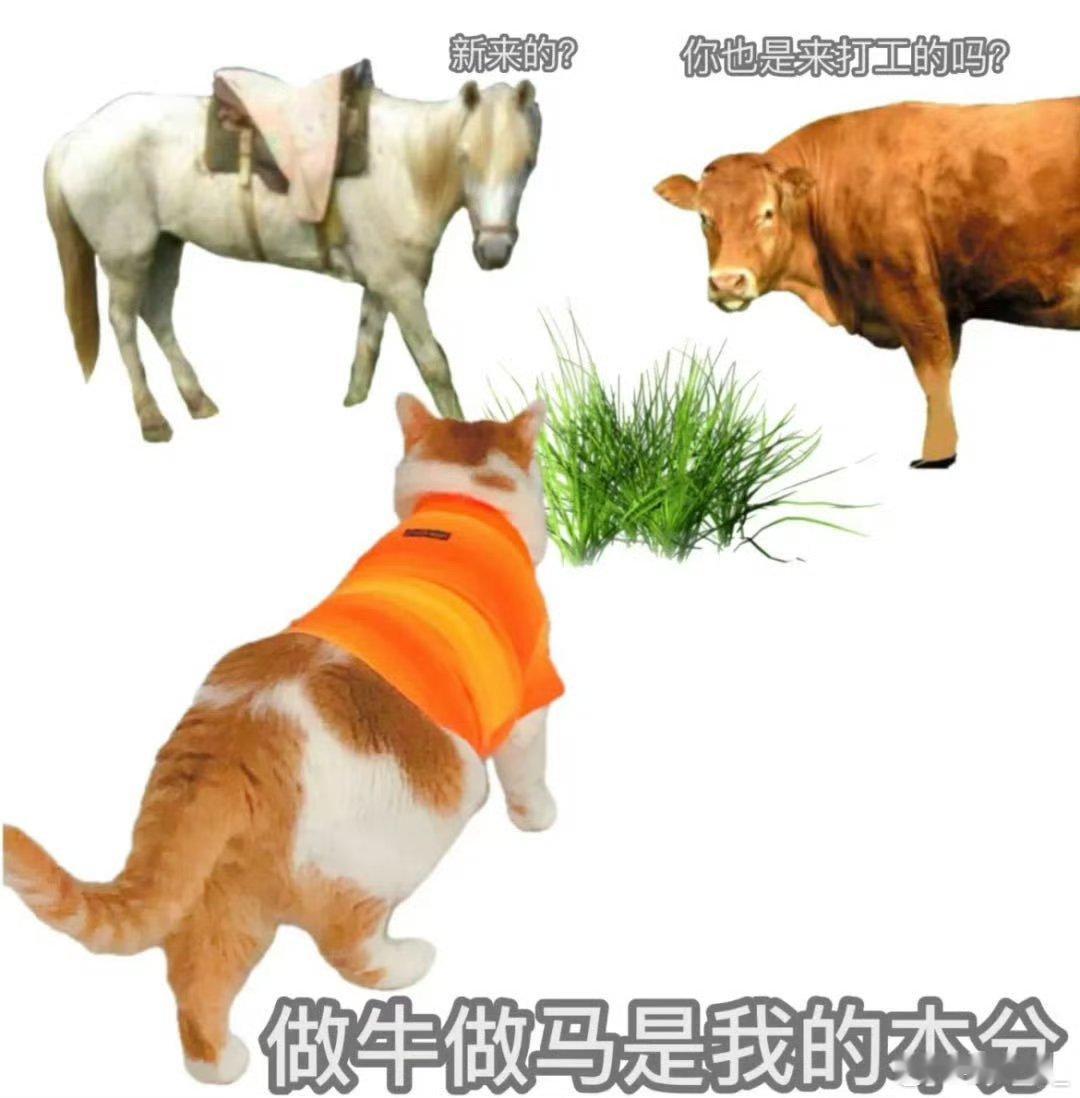 #这届打工人是懂察言观色的#网友太搞笑了。打工人真的是懂得察言观色的。看到这个图