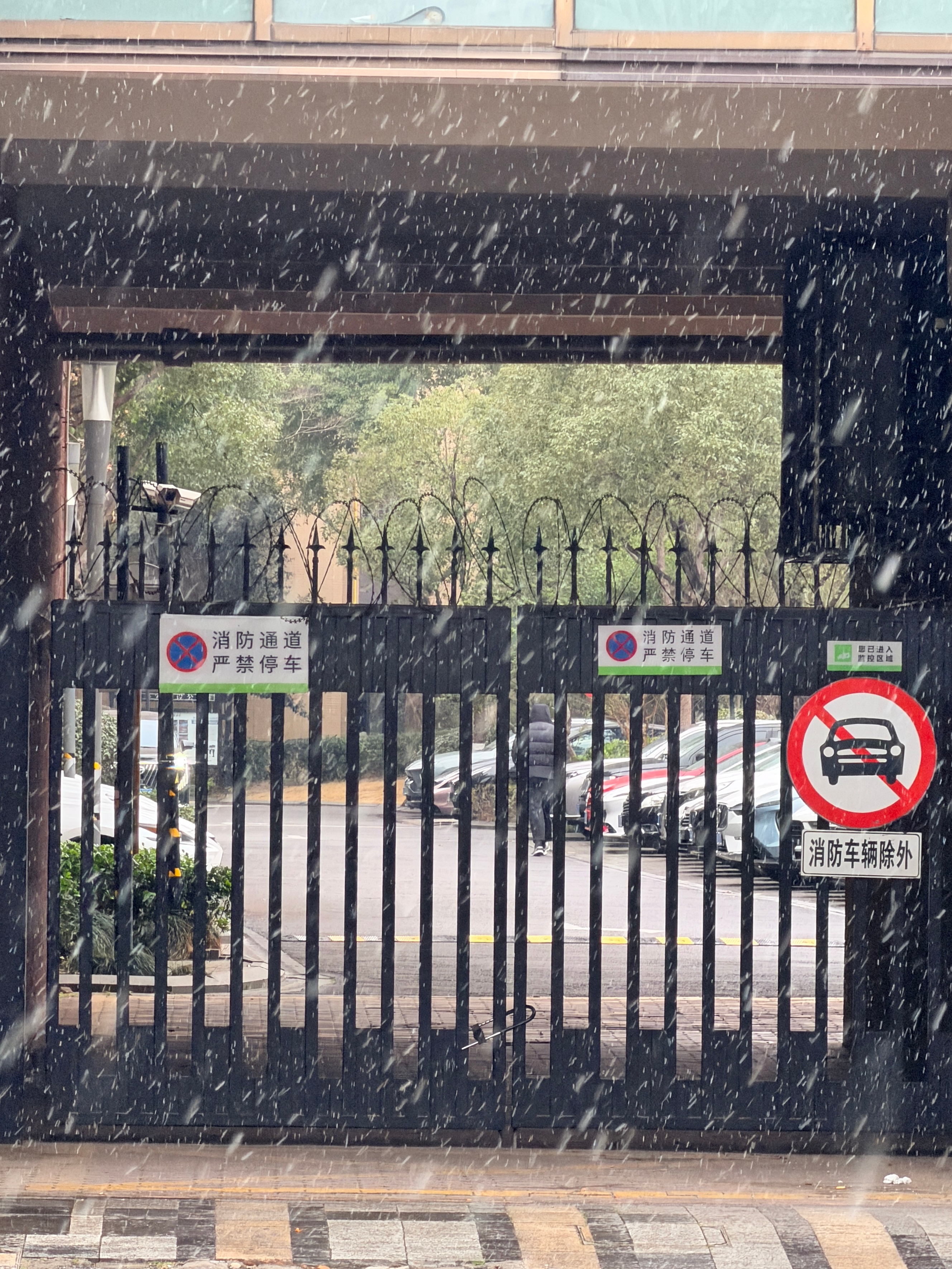 一出门就是雪天的浪漫❄️ 上海下雪 上海