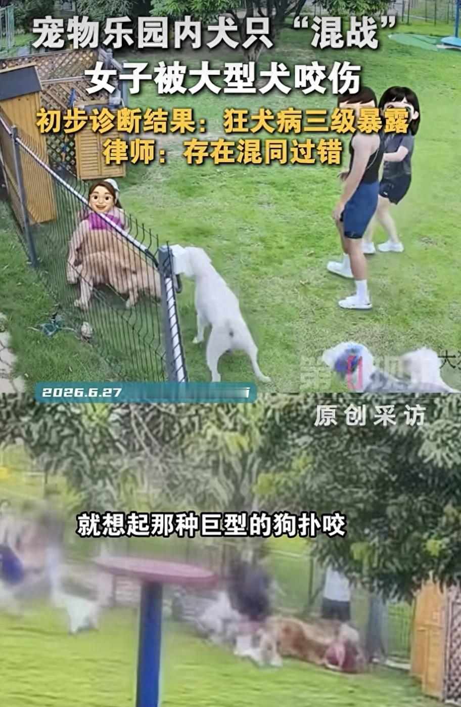 “太吓人！”深圳，女子只是去一趟宠物乐园接自家宠物，竟然被金毛扑倒撕咬，不仅查出