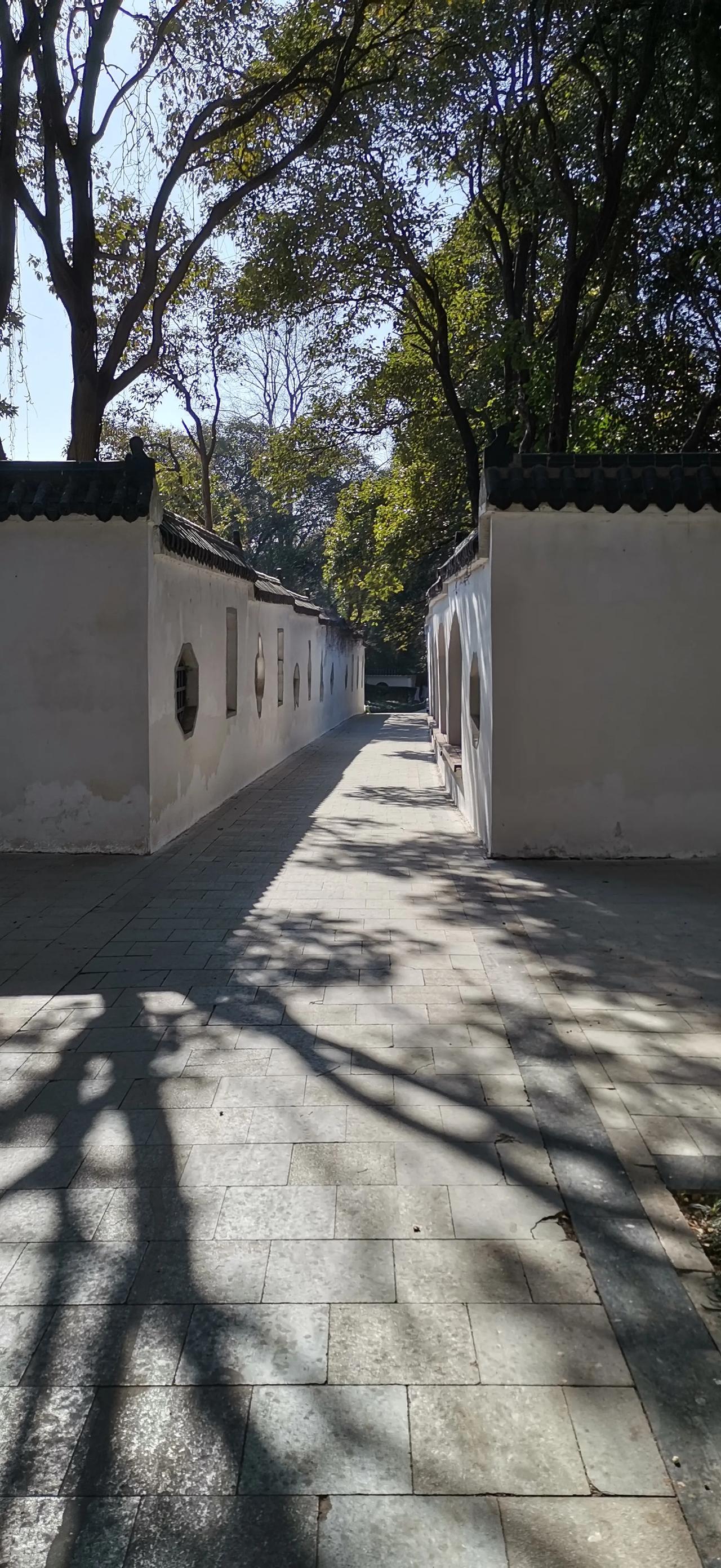 随手拍风景照
