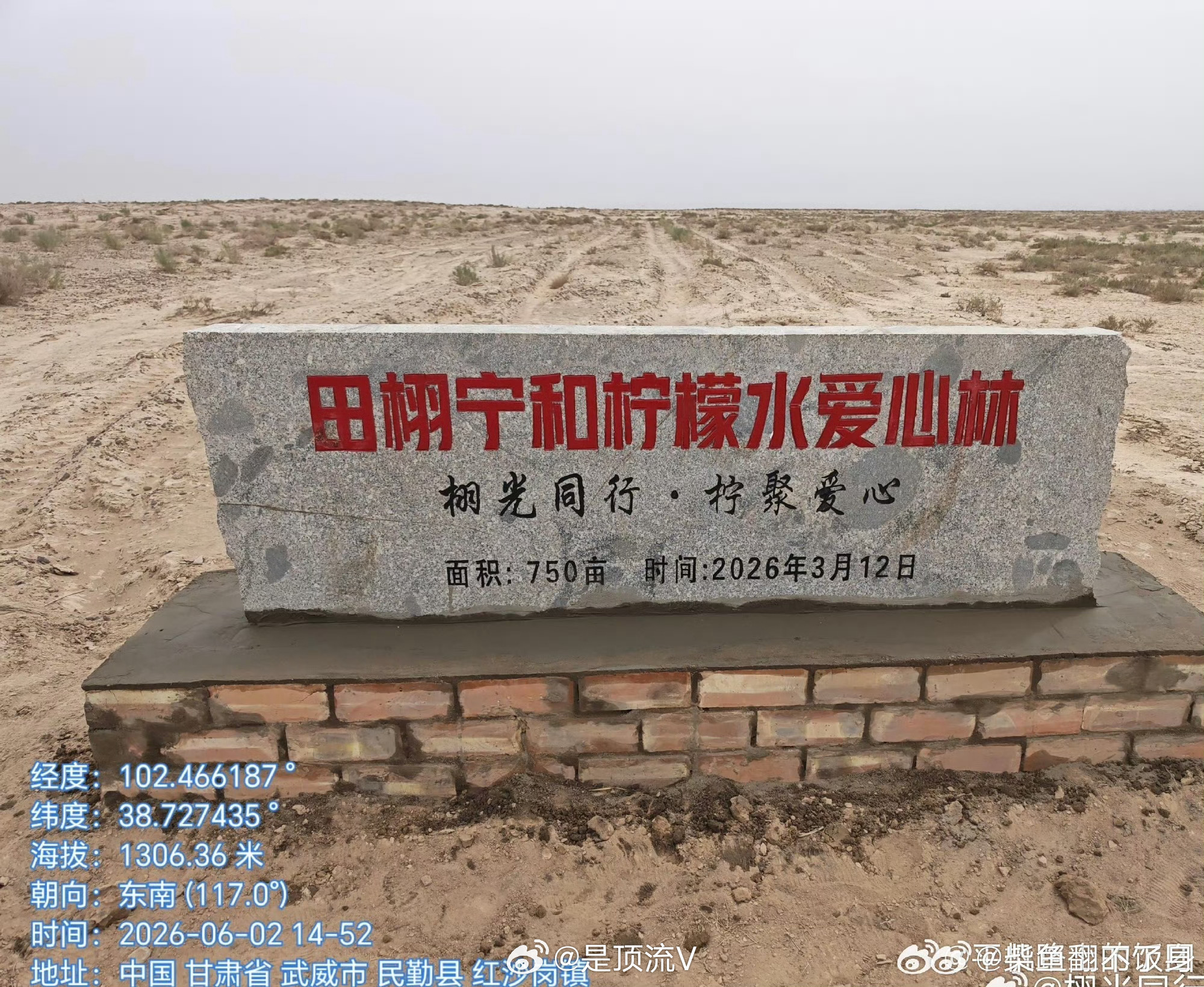 央媒肯定田栩宁粉丝柠檬水治沙公益行动6月23日， 粉丝“柠檬水”在甘肃民勤落地7