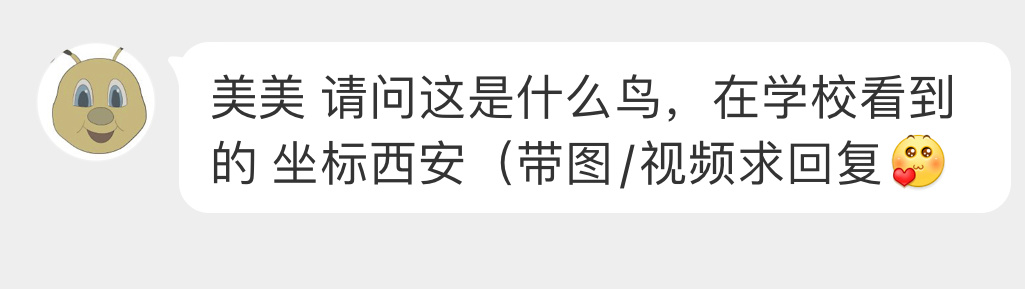 送分题环节～每年七夕给牛郎织女搭桥的！都会了吧！ 