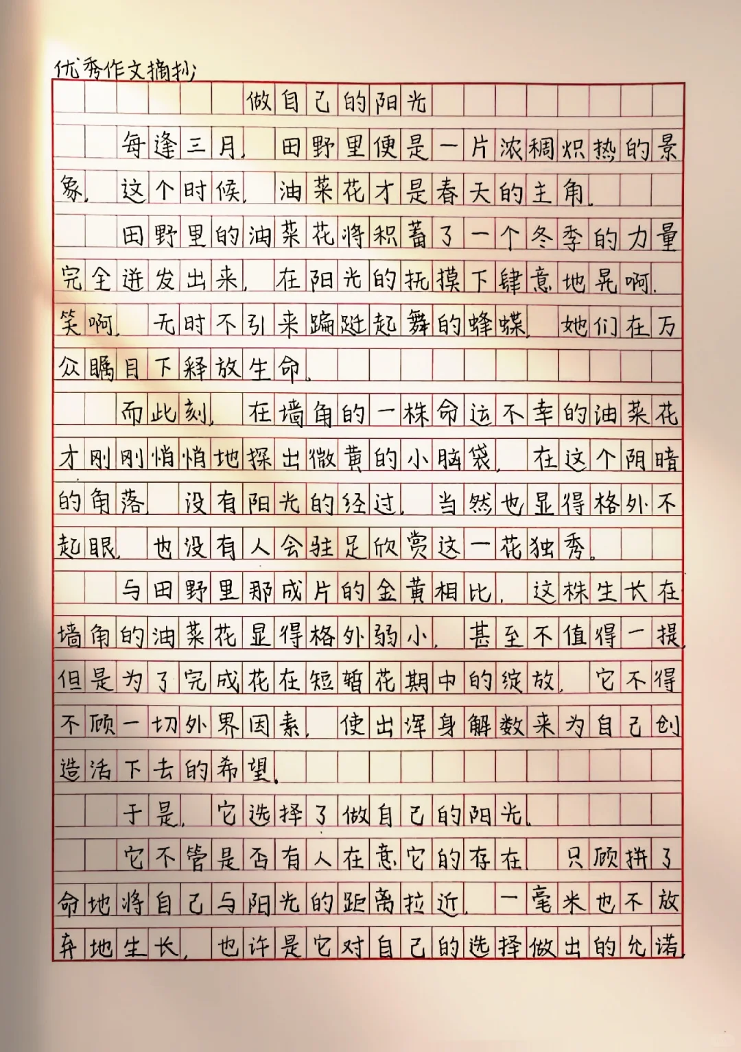 作文【做自己的阳光】