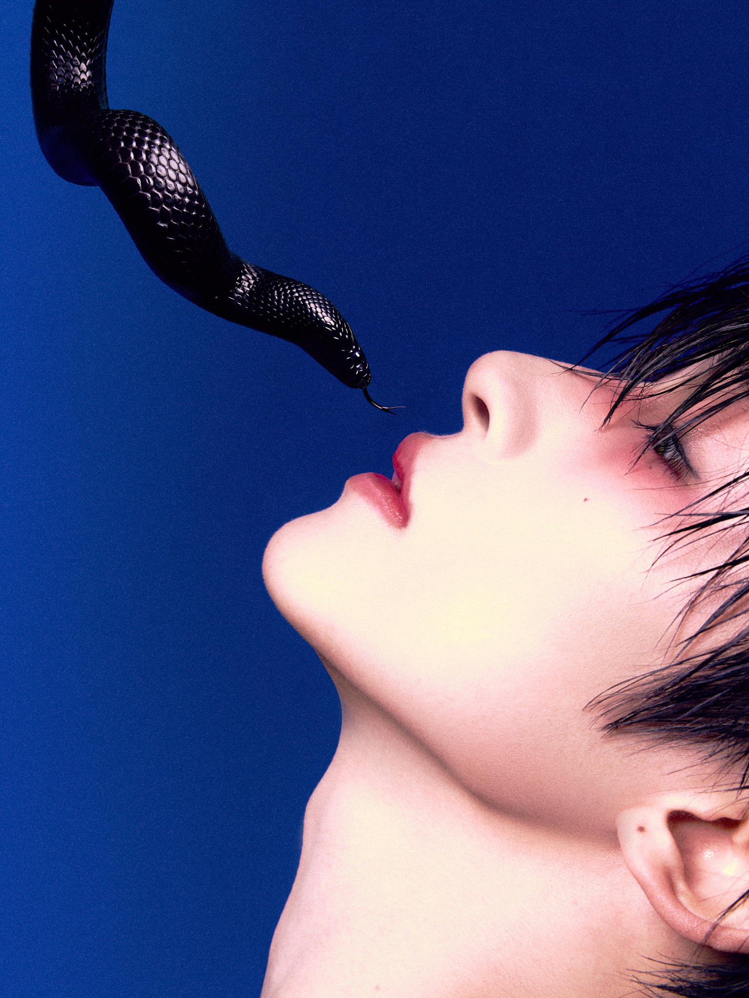 刘宇微博之夜与蛇共舞  