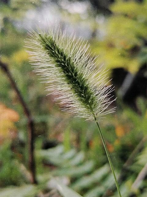 婚外情里最窝囊的原配。
云儿的故事和莲姐的故事有相似之处，都是被出轨的原配，不同