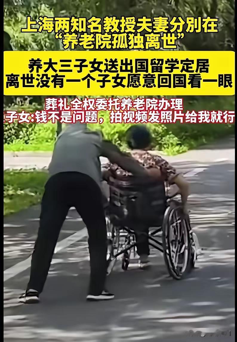 上海有一对教授夫妇，他们非常优秀，家里也很富裕。
两人相识于大学，毕业后双双留校