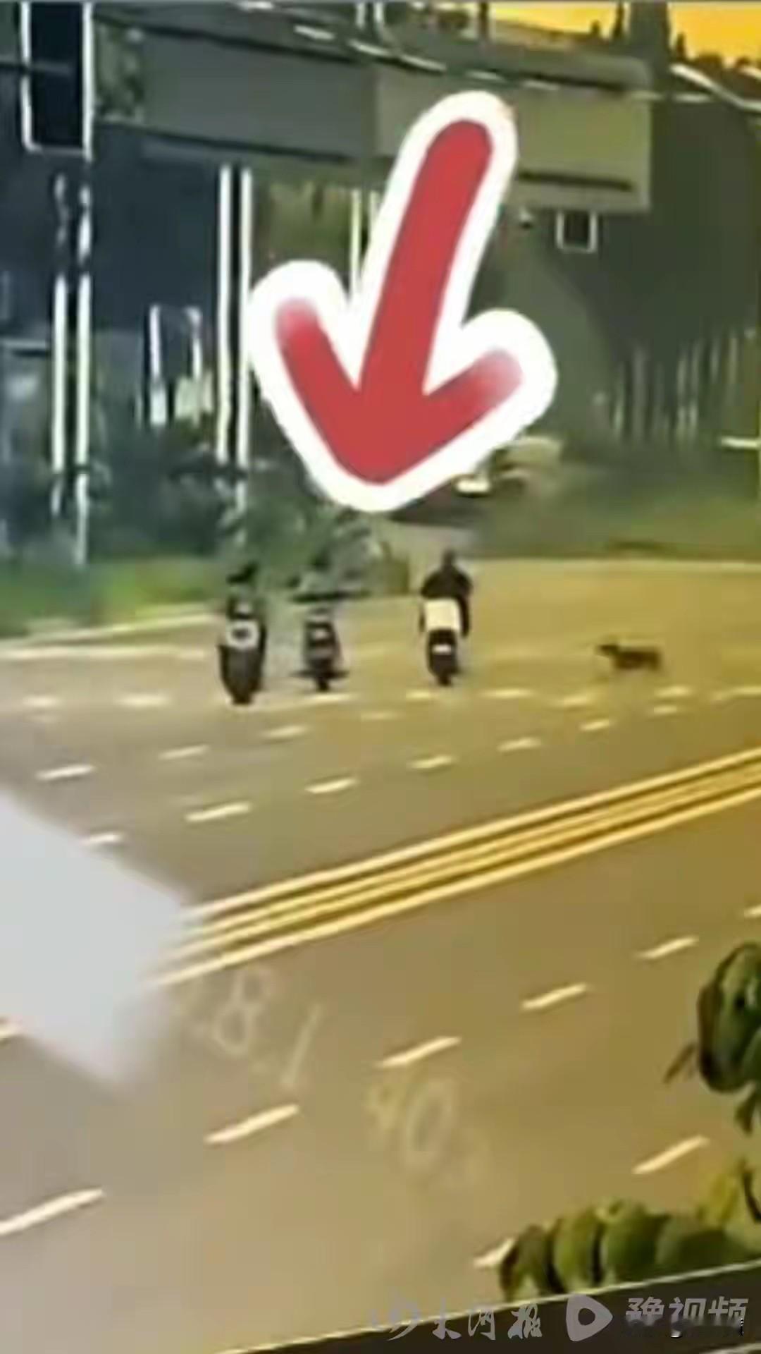 “麻绳专挑细处断，厄运专找苦命人”，河北邯郸这个普通农村家庭的遭遇，让人看了心里