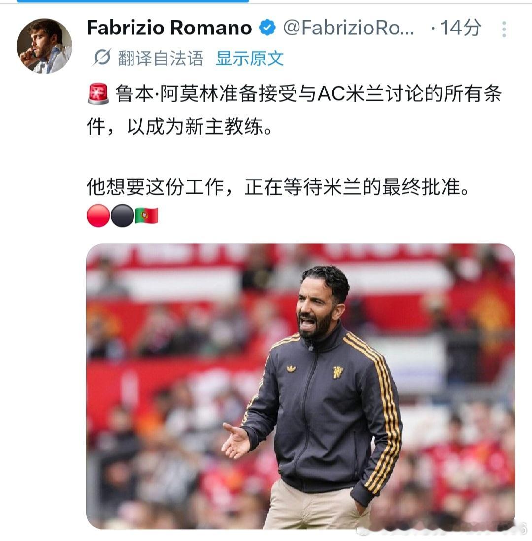嗯？水晶宫主帅被他涮了一圈？阿莫林这资源没的说啊 