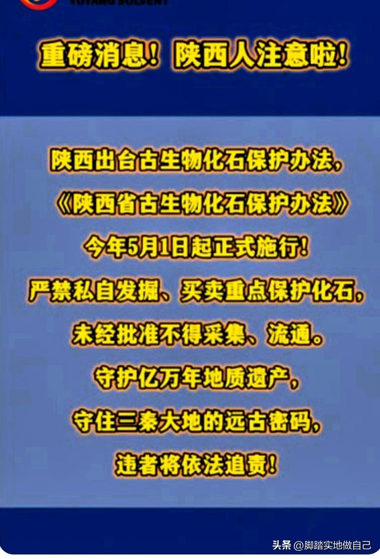 家人们！陕西放大招了！5月1日起，化石保护有了硬规矩！
 
家人们，重大好消息！