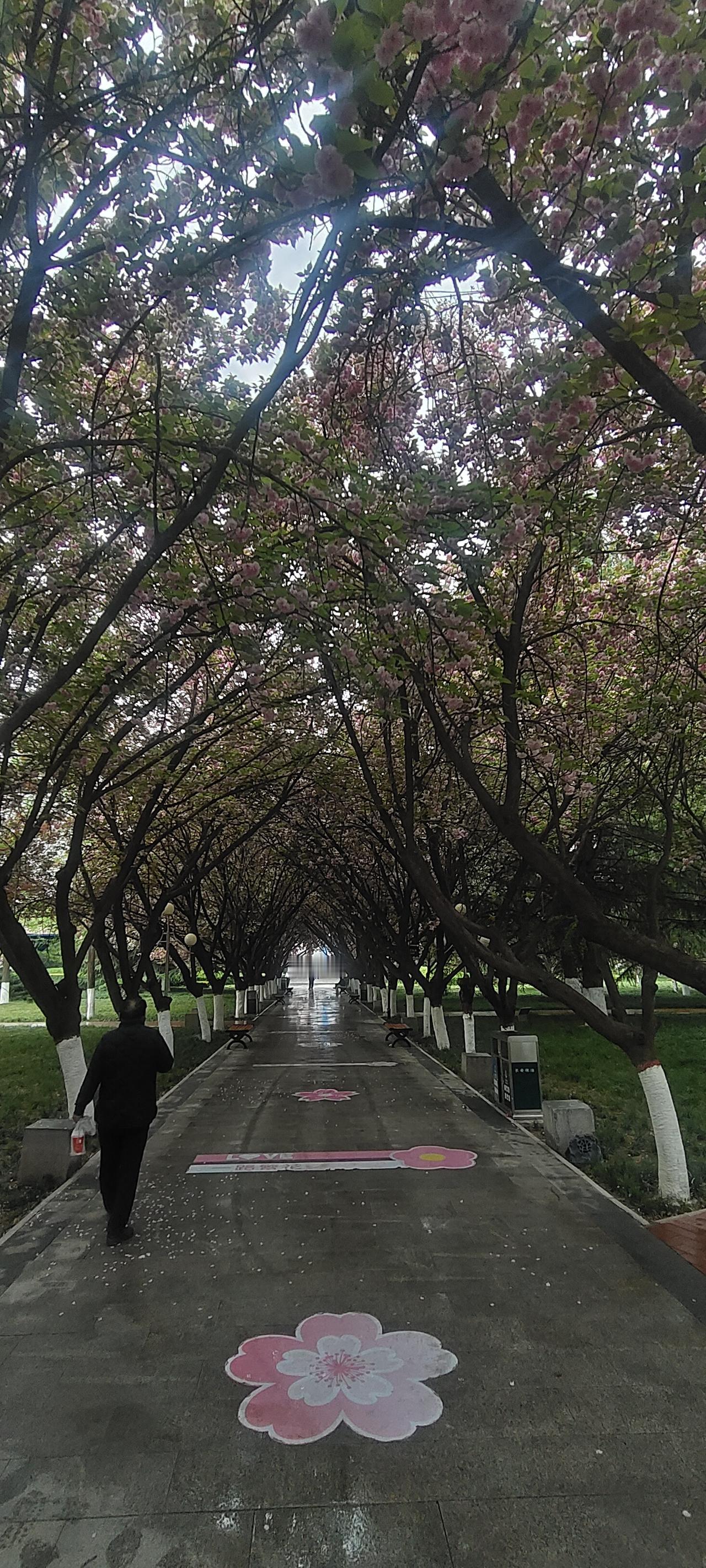 所以什么才是人生的意义，为别人而活吗？我也不经在想我要走自己的路，做自己喜欢的事