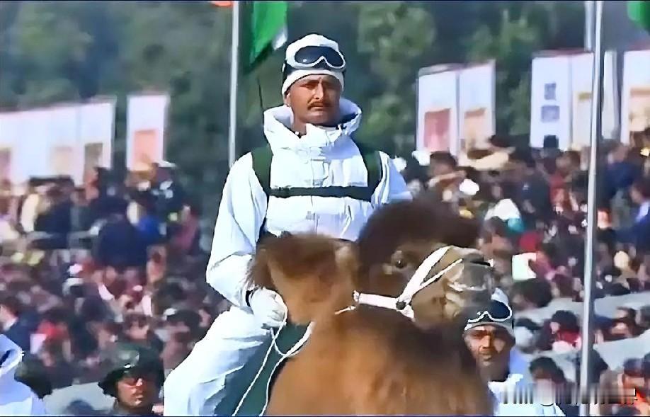 1月26日晚上的最新消息，速报，全都不容错过，第一条：印度共和国日阅兵首现“动物