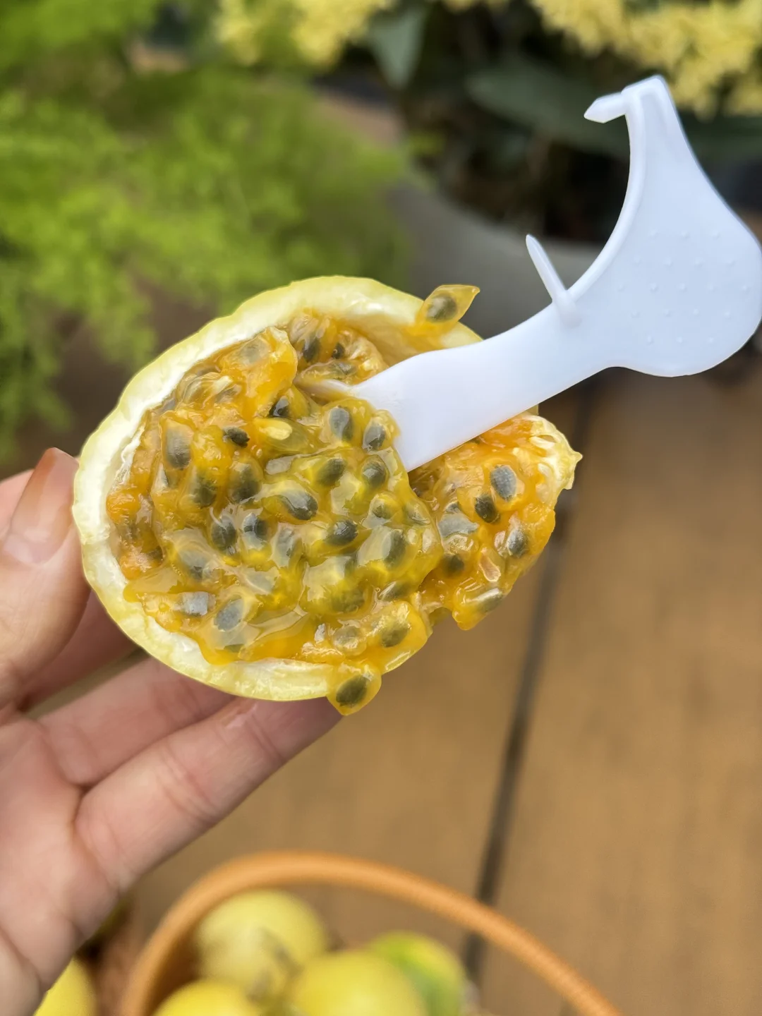 别再吃酸到皱眉的百香果了，我们家不甜包赔