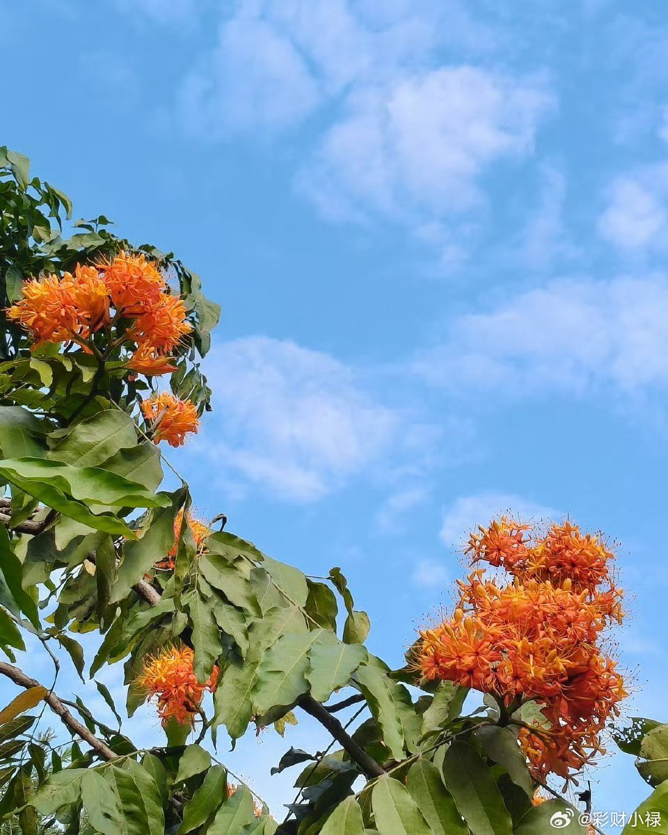 云开月明，星垂平野；心有山海，静待潮生。早上好，好运正在来临。我的日常plog早