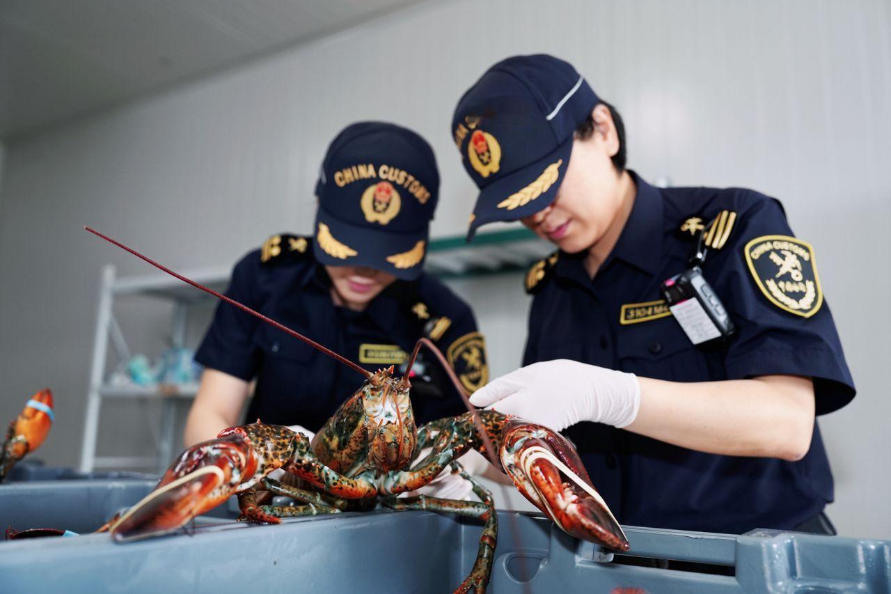 【休渔期鲜味不缺位，前5月宁波空中水产进口增长12.8倍 】宁波伏季休渔开启，空
