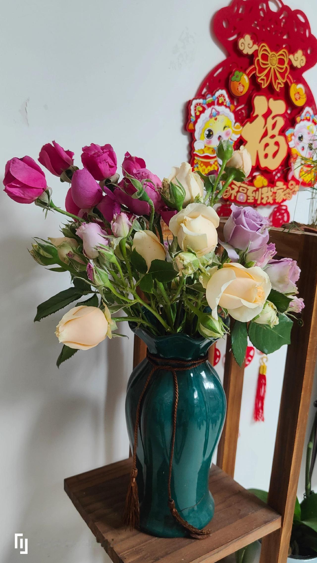 老家花开生活美丽思念