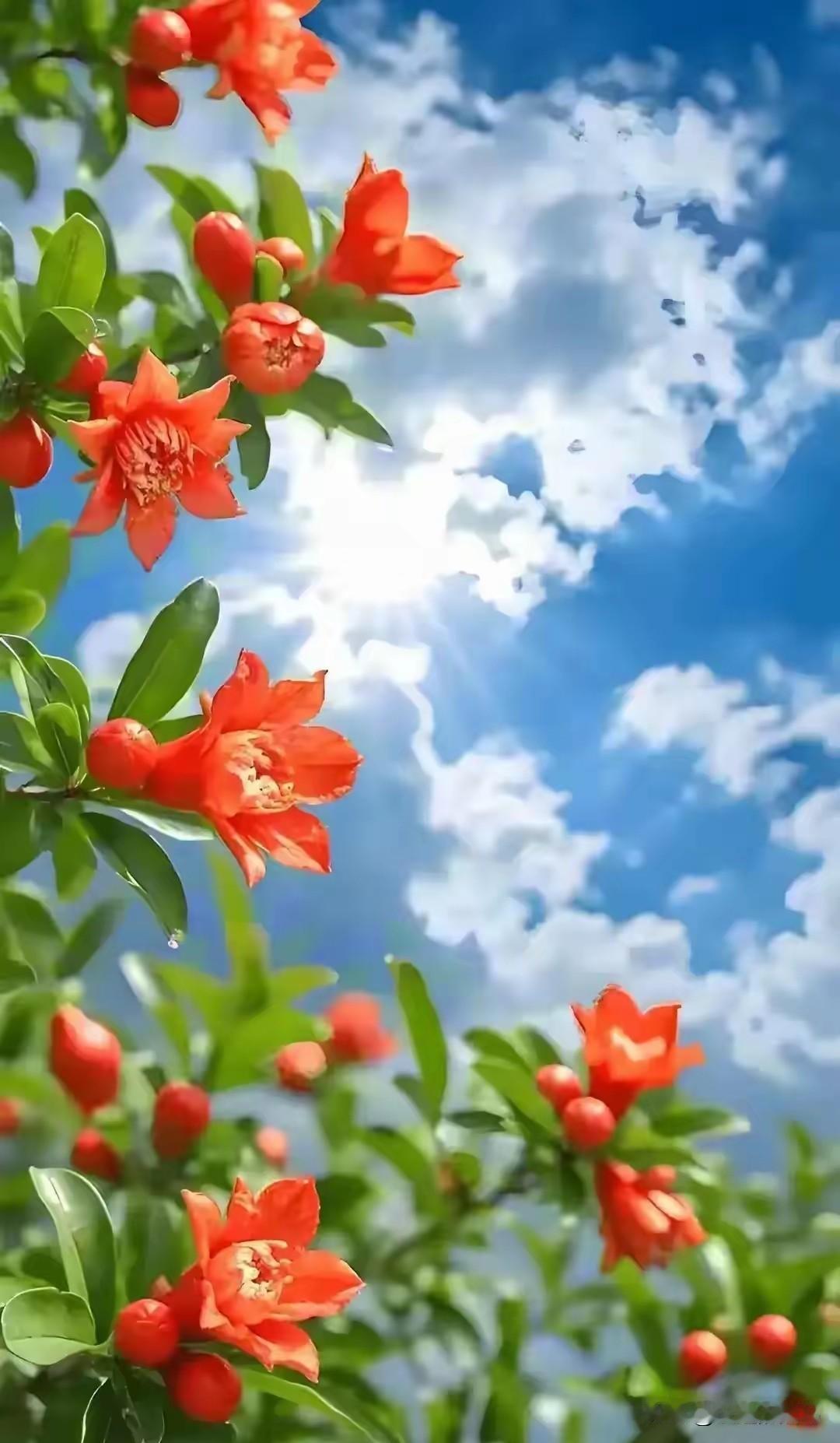 《沁园春·春雨初晴》

文/范圣嘉
 
细雨初收，晓雾轻笼，万象新娇。
看青山洗