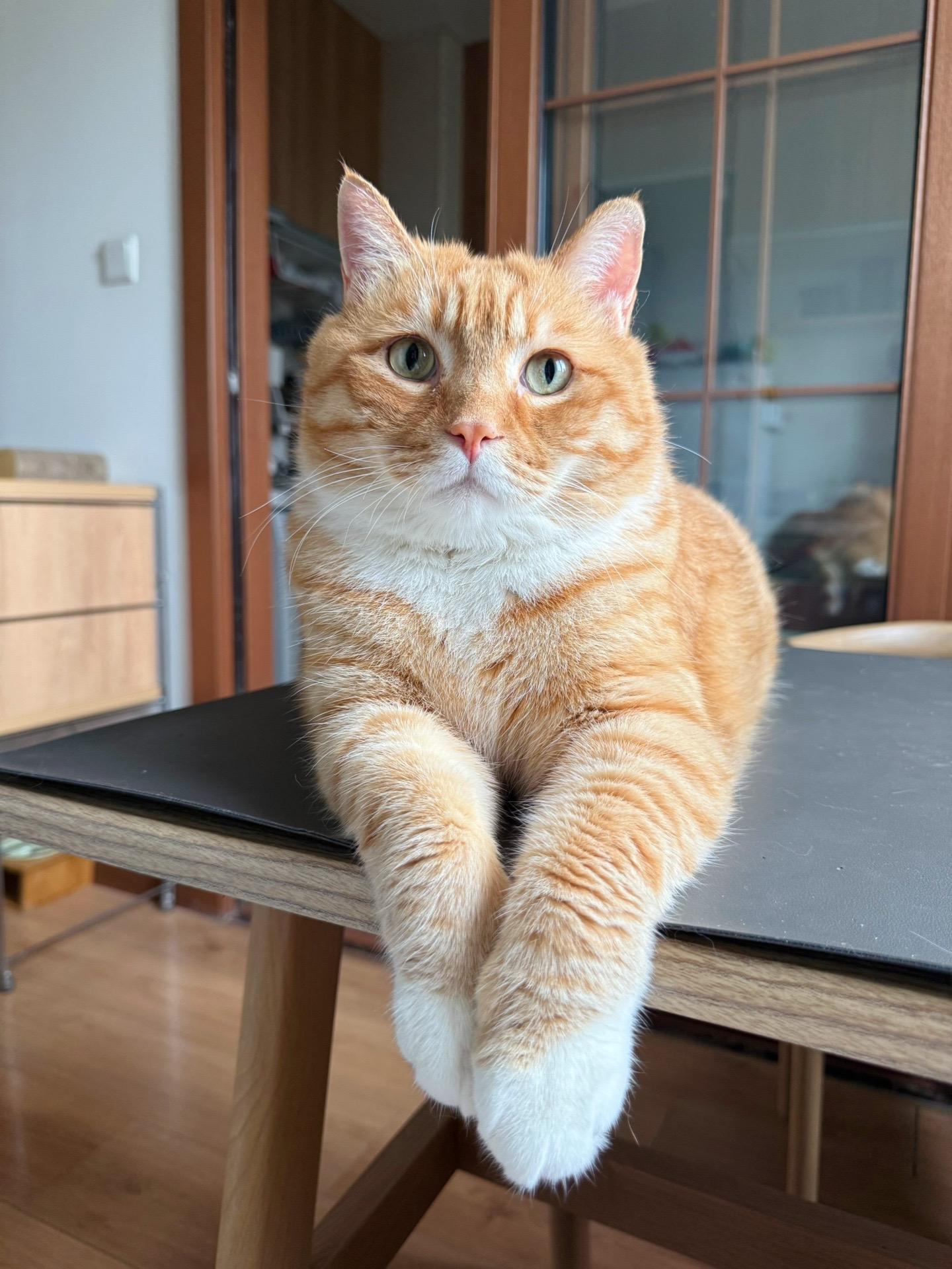 9岁小伙子7年没洗澡了。