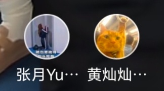 这俩人的头像我真的没忍住