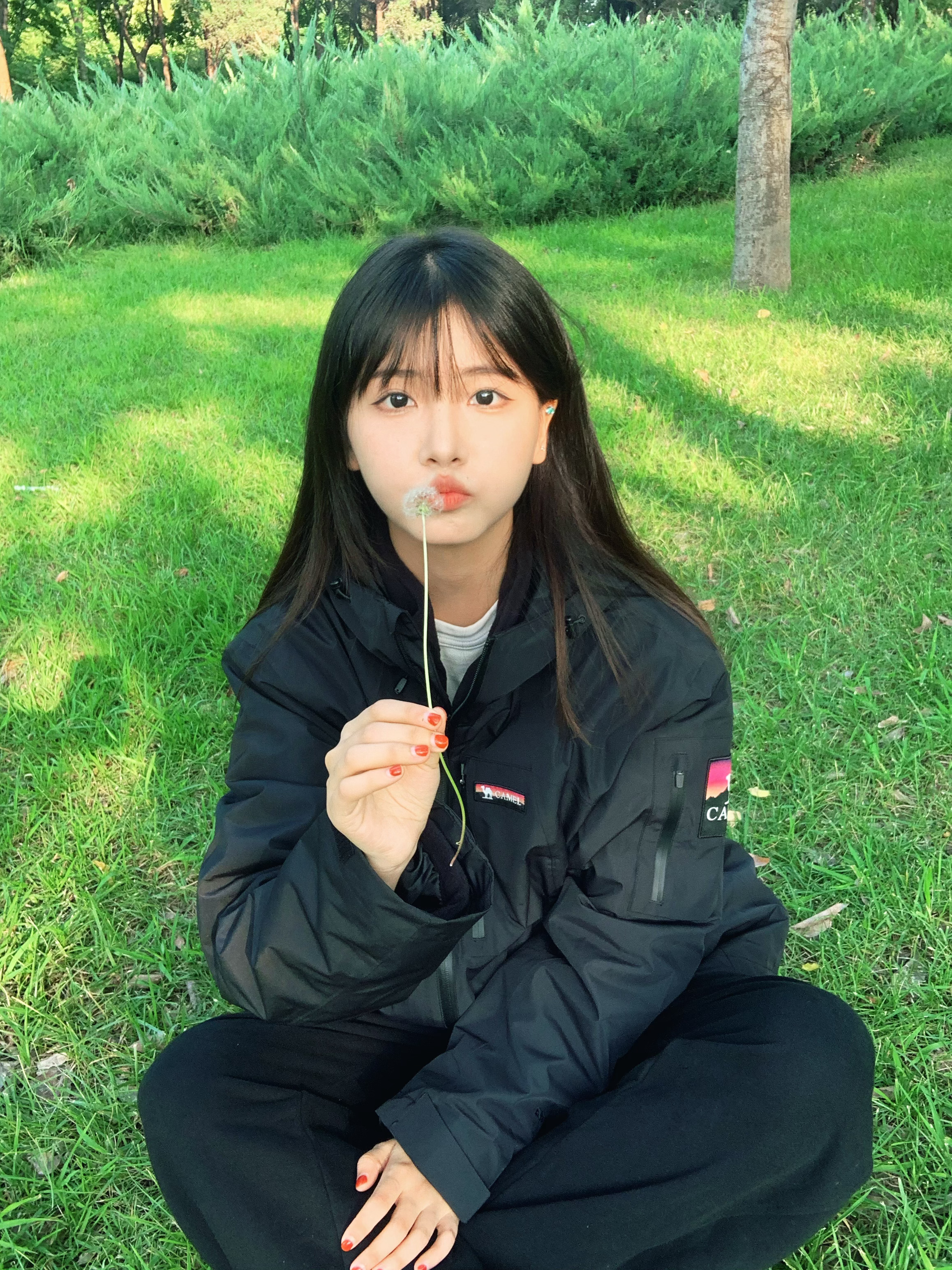 绿绿的 ​​​