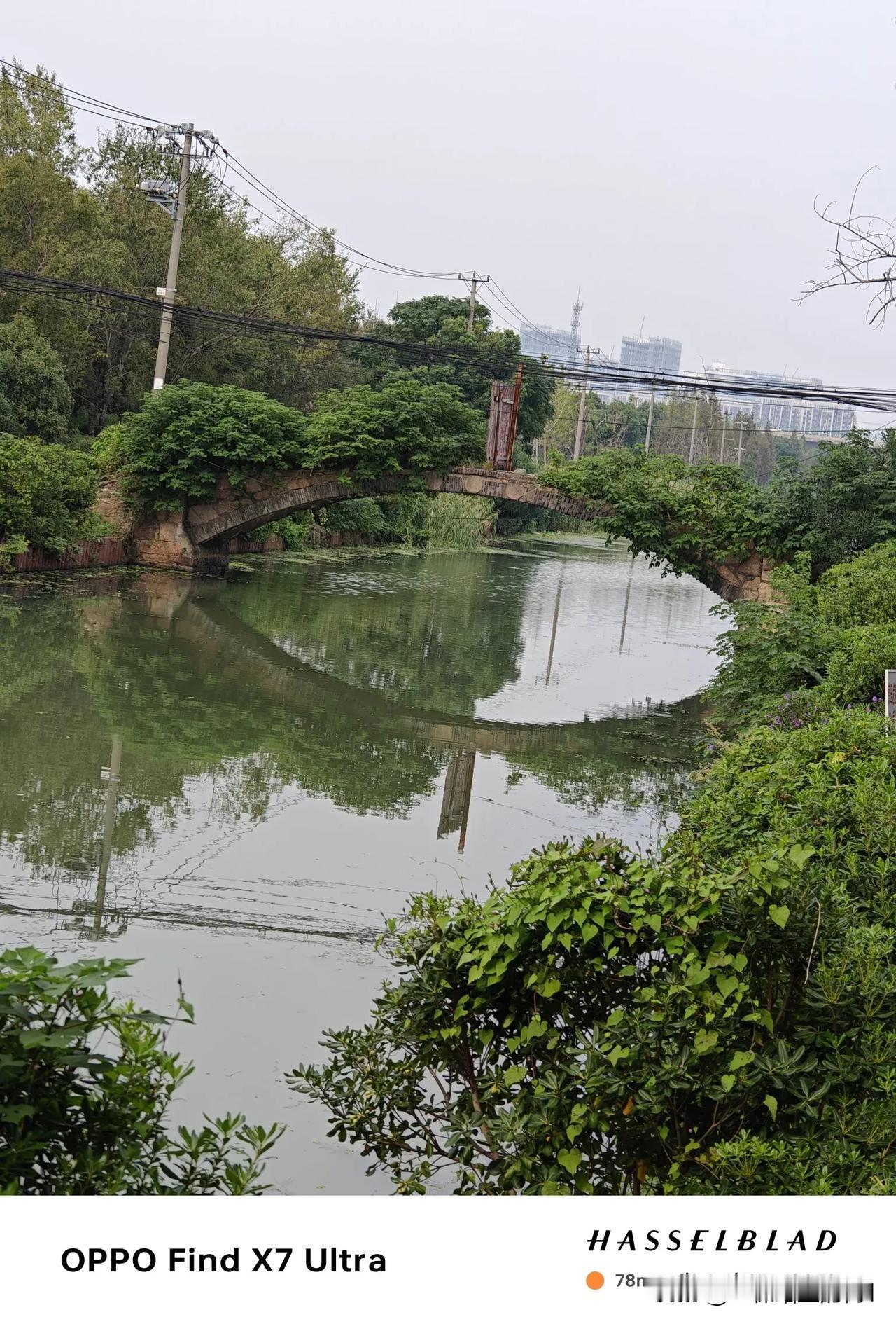 人间杂感

在江南，
我热爱的河流都很安静。
一条河和另一条河，
总能隔着阡陌、