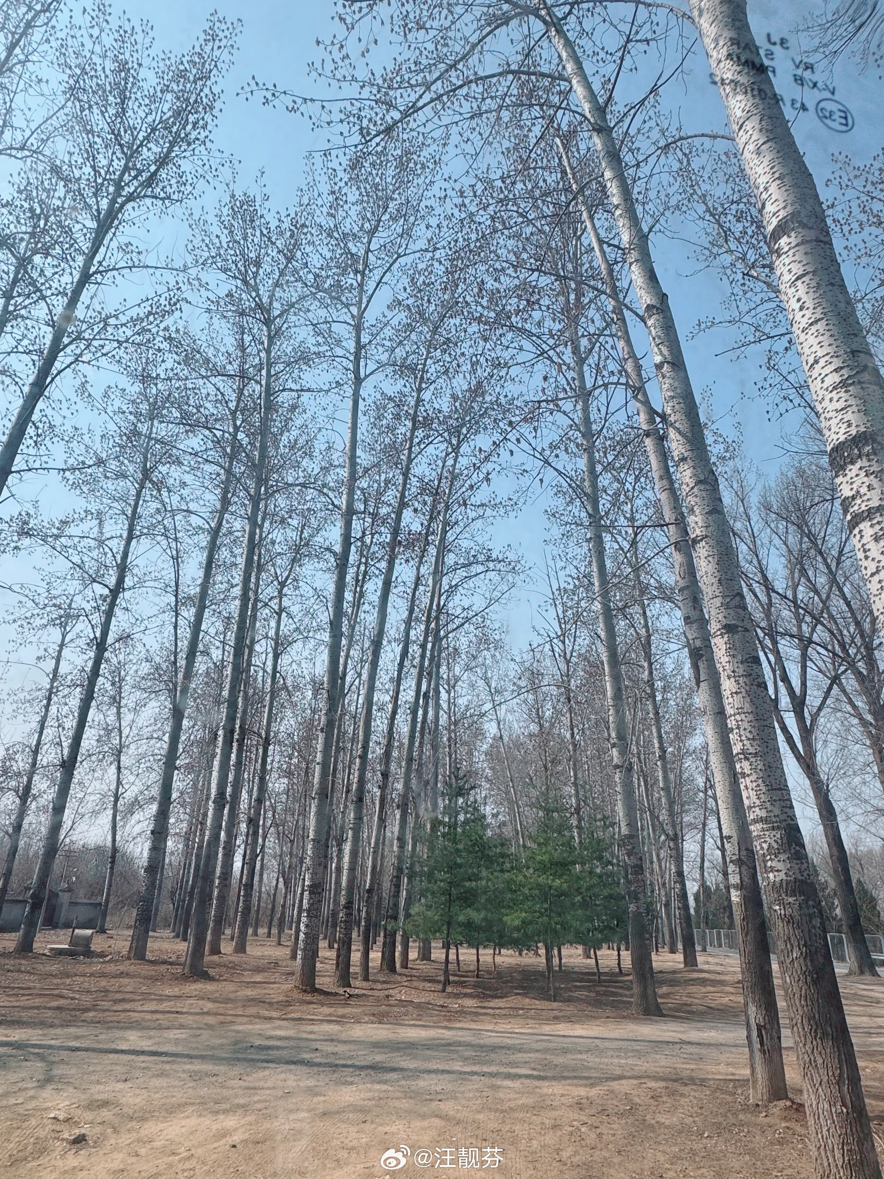 又是有小鸟作伴的一个上午（图中鸟大家自己找）。房车里睡了一觉，舒服，也幸福。大家