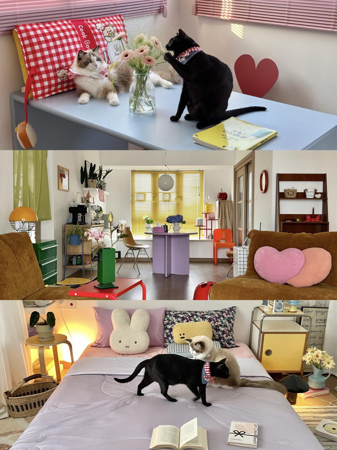 plog🏠*🎀♡ “是女孩子的房间呐”✨