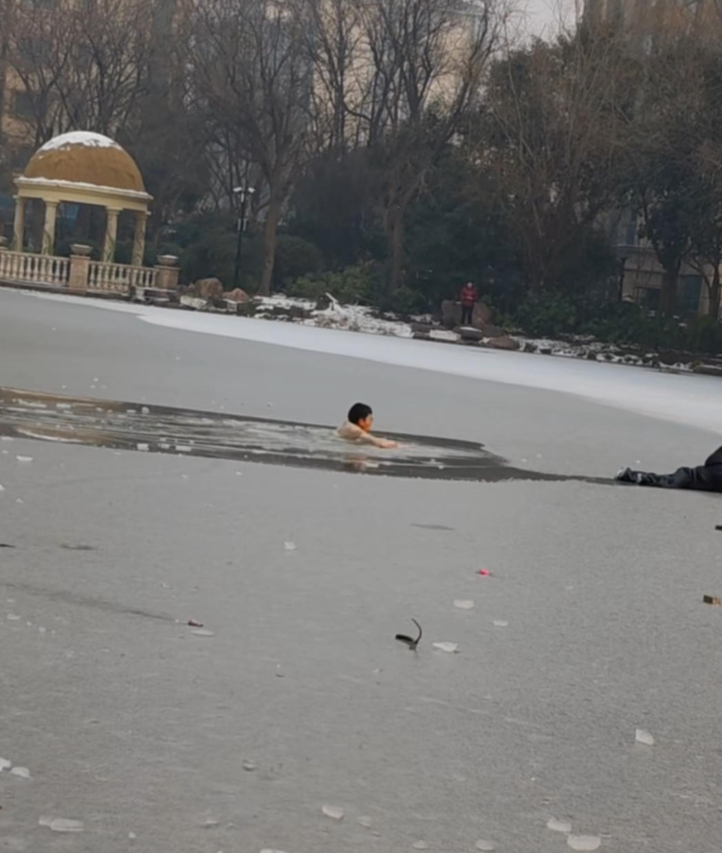 #男孩湖面玩耍踏破冰层落水#【洛阳一男孩冰面玩耍落水，男子匍匐将其救起 救人者：