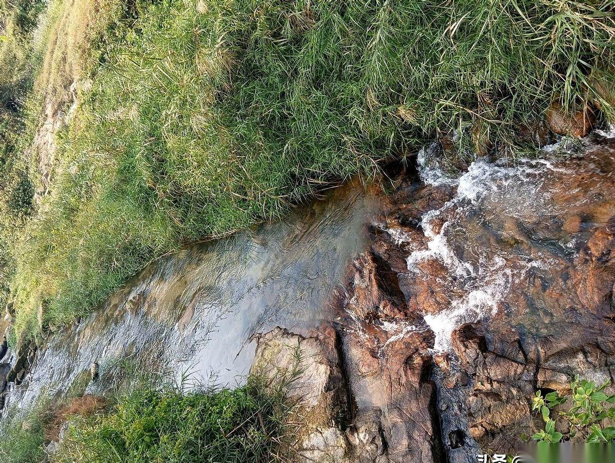 我之前那个老板娘，真是我见过活得最明白的人。
一个属马的女人，三月份生。长相、学