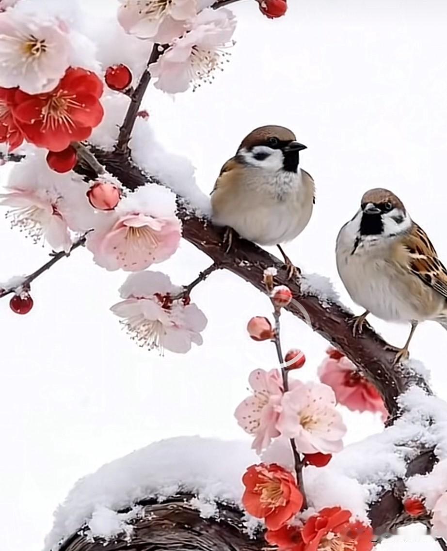 求下联
下联：秋云淡淡稻花香。
秋风习习说过黄
冬雪飘飘梅花红。