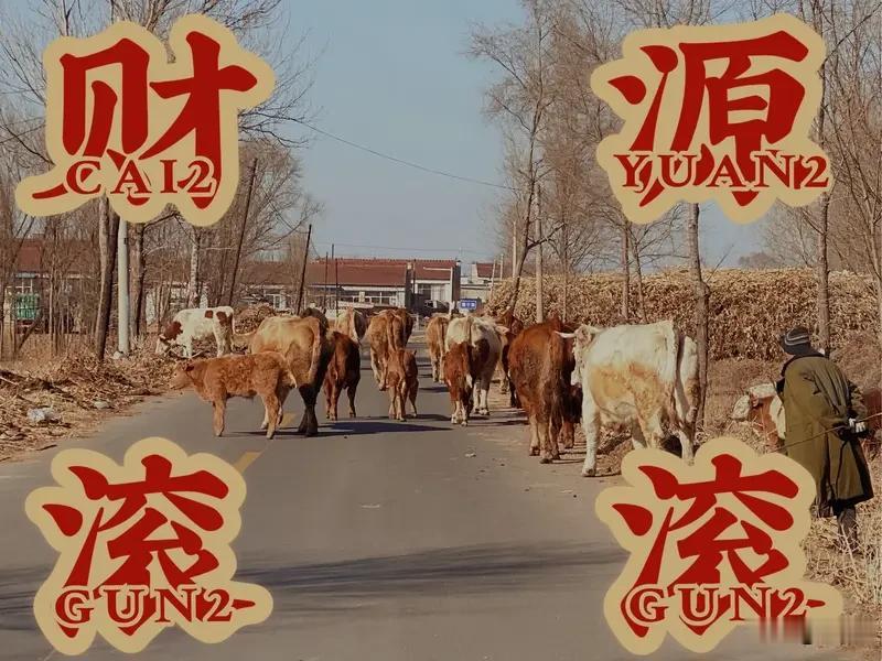我是真没好好把握。就说创作内容吧，一会儿想围绕社牛社恐话题，讲讲社牛是怎么从曾经