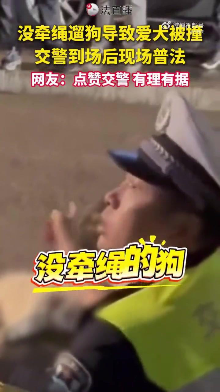 大快人心：未牵狗绳一律按野狗处理
 近日江苏发生一起遛狗纠纷，一名市民出门遛狗没