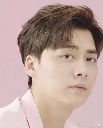 田栩宁是不是可以做lyf代餐 