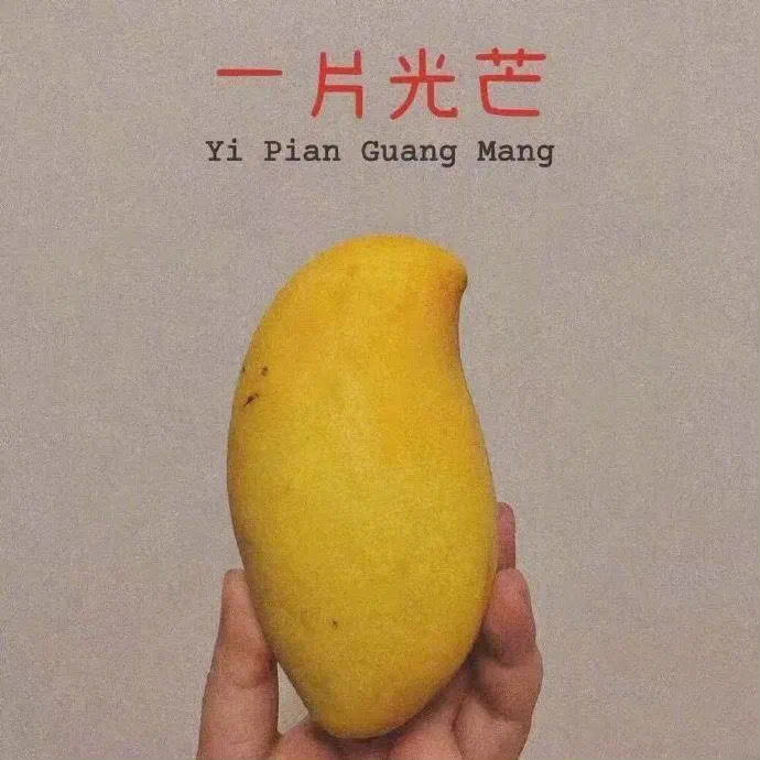 ²⁰²³ /₁₀.₀₇🍊ᯓ 🆂🅰🆃🆄🆁🅳🅰🆈你的每一次勇敢，都