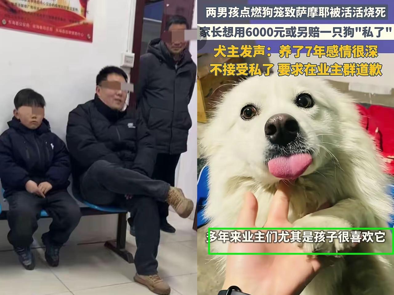 萨摩耶被两个小男孩用鞭炮烧死一事，很多人都搞错一个方向了。

现在的问题并不是城