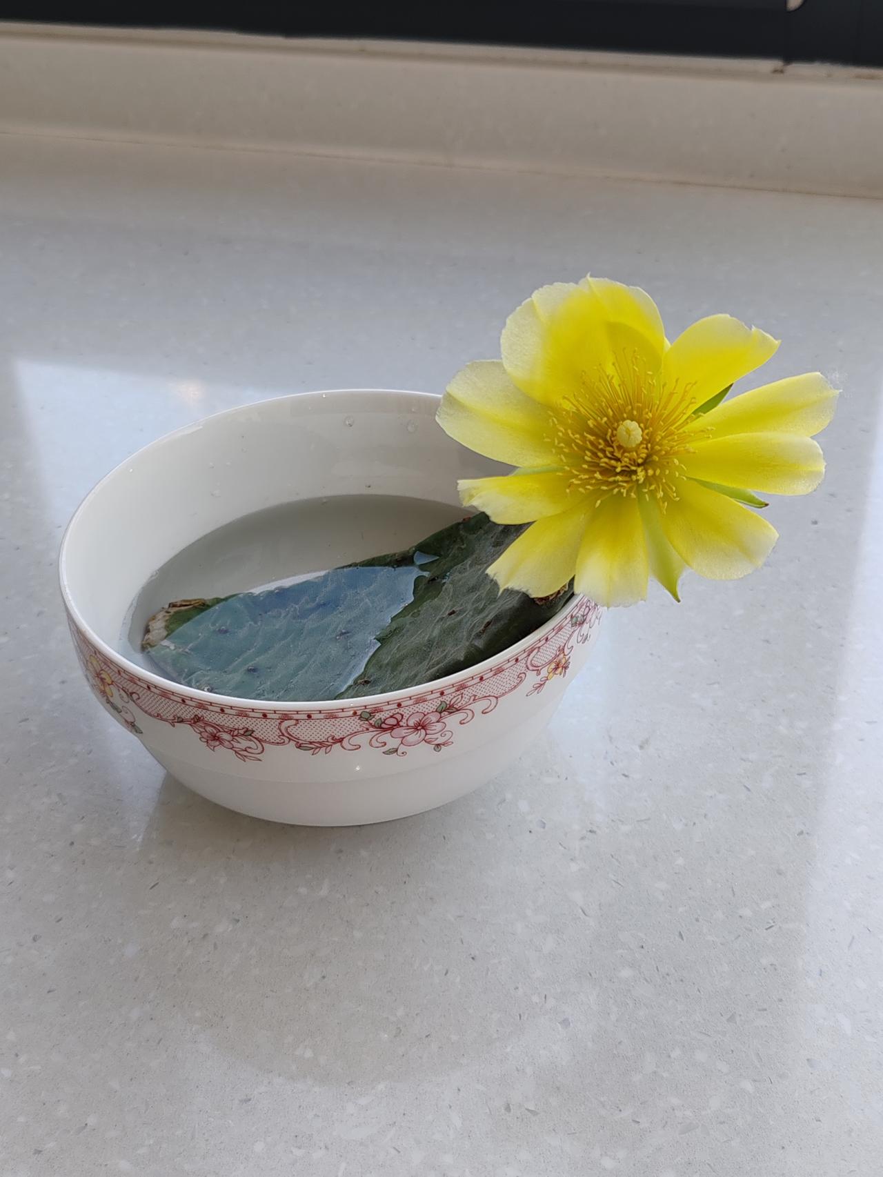 衡量着自己的劲来，如果有能力，只是为了赌这口气，就没必要了。如果对方是独生女，我