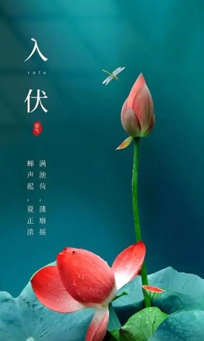 三伏天高温高湿，身体为什么容易失眠？每到三伏桑拿天，明明很累，夜里却翻来覆去睡不