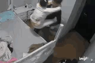 分享图片 