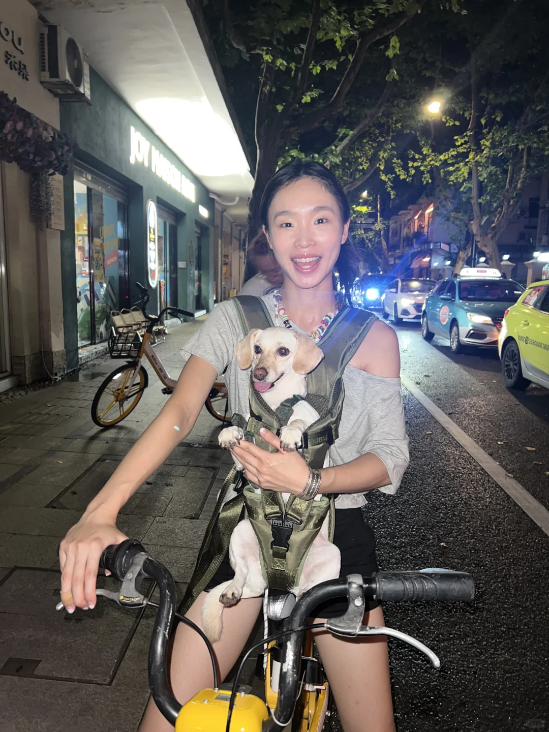 沪上小狗日记*001