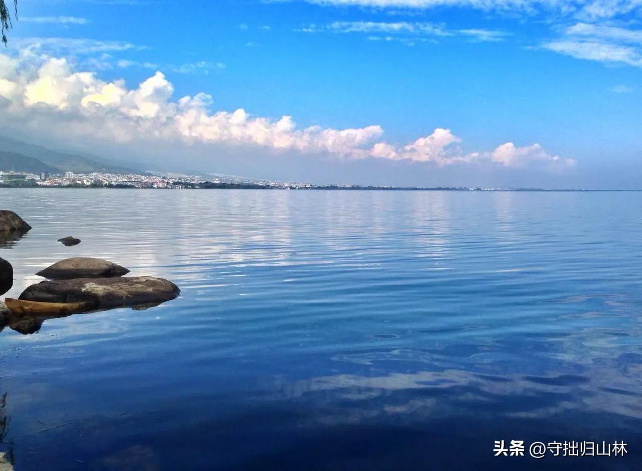七律·洱海
下关浩气拂琼葩，
香漫上关绽物华。
风卷轻云情缱绻，
蕊摇幽梦意纷拏