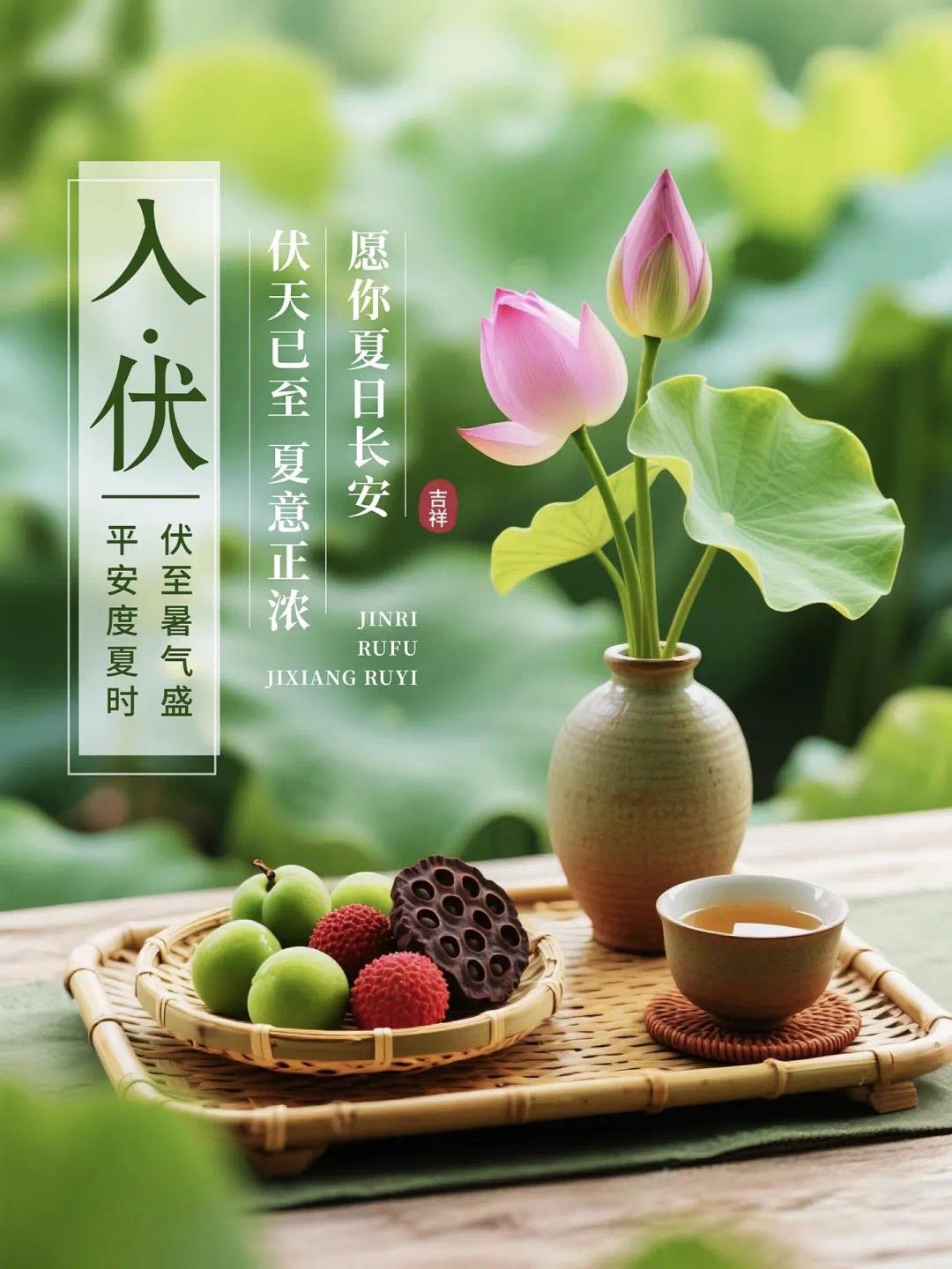 🍉今日入伏🍉
清风解暑意，万物入清秋，
愿你心有清凉，幸“伏”美满，
这个长