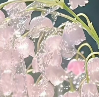 0000阳光信用[捂嘴哭] 每日一善 喧嚣的世界里，保持善意是一种选择，也是一种