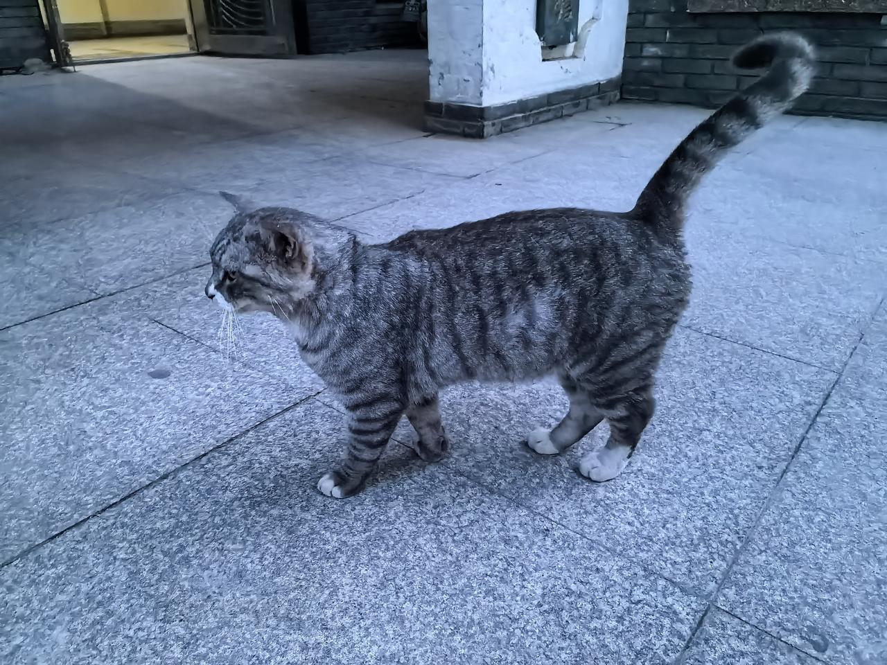 不老实