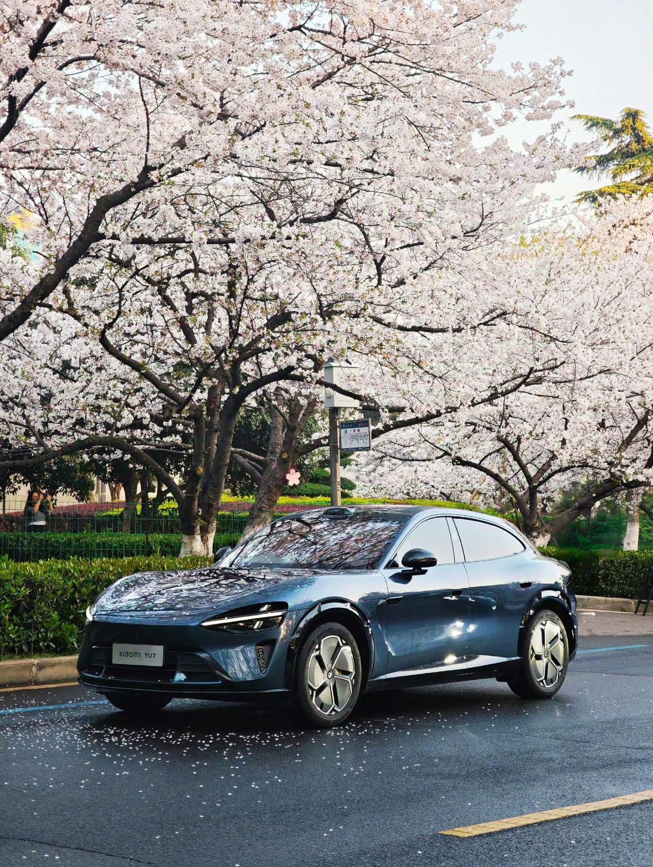 小米从今年高峰到现在下跌35%；

比亚迪从今年高峰到现在下跌43%；

赛力斯