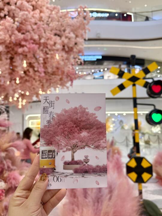 在天津邂逅10m樱花瀑布！！粉色暴击💘