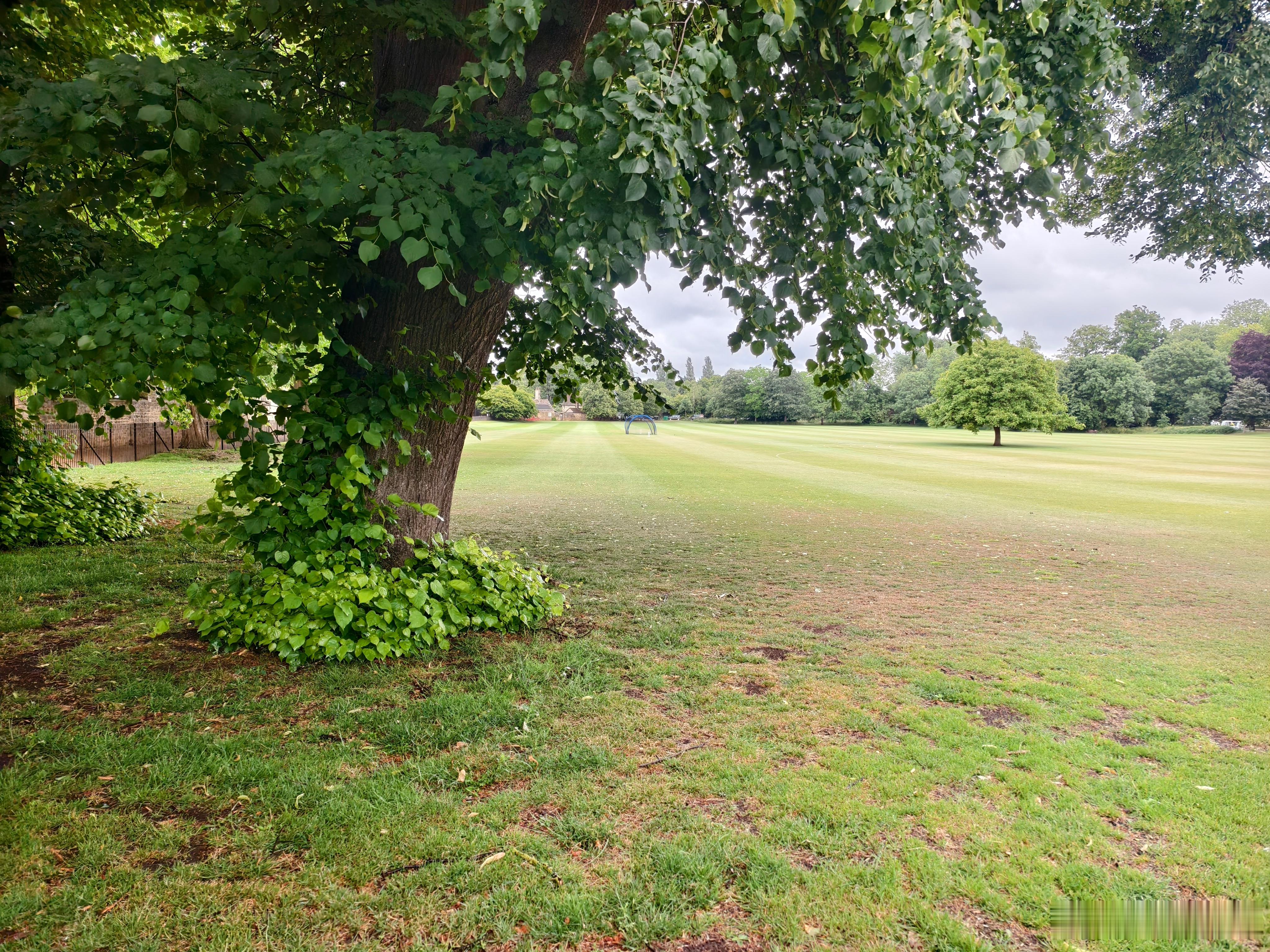 6月英爱 英国牛津大学。哈利波特电影曾在牛津大学多处取景 英国·牛津基督教堂学院