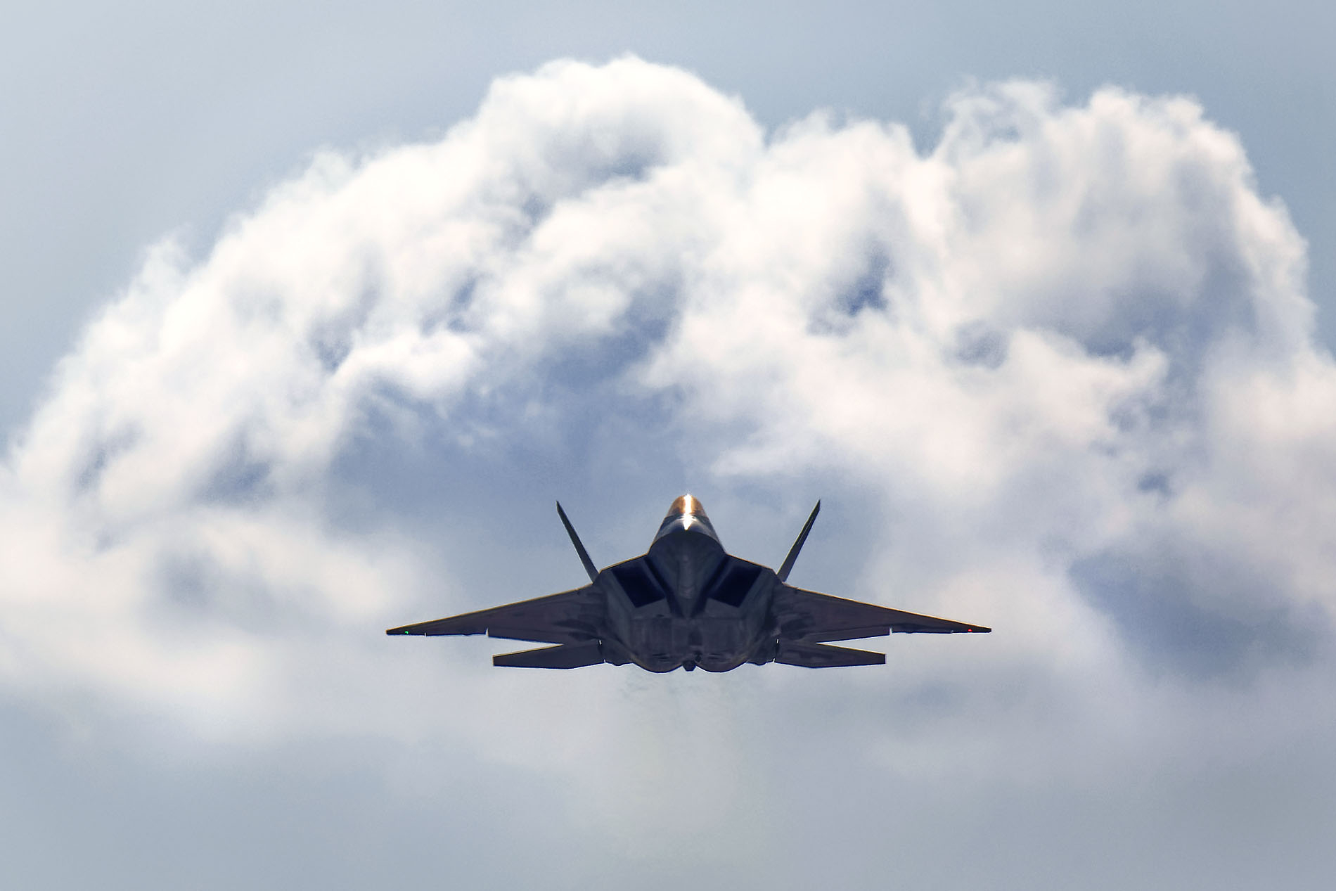 几张靓靓的猛禽娘娘 