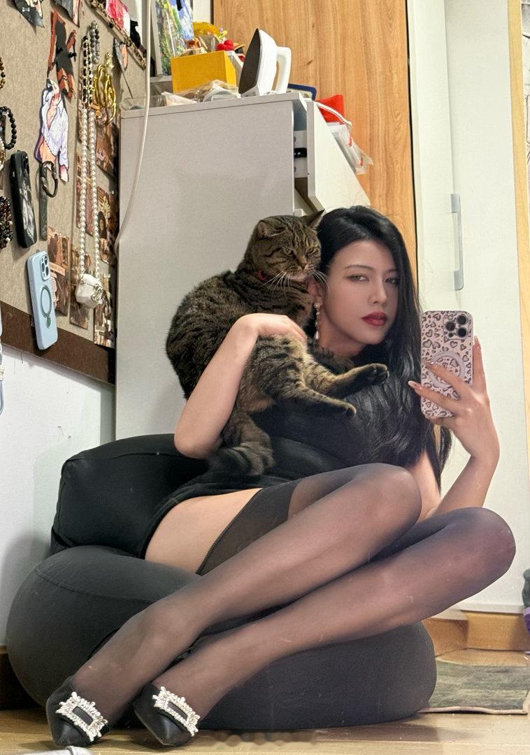 和其它小猫不一样的是 违抗主人的命令是我的乐趣之一 