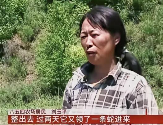 2006年，黑龙江一女子睡觉时，一条大蛇钻进了她的被窝，女子心软没把它赶走，谁知