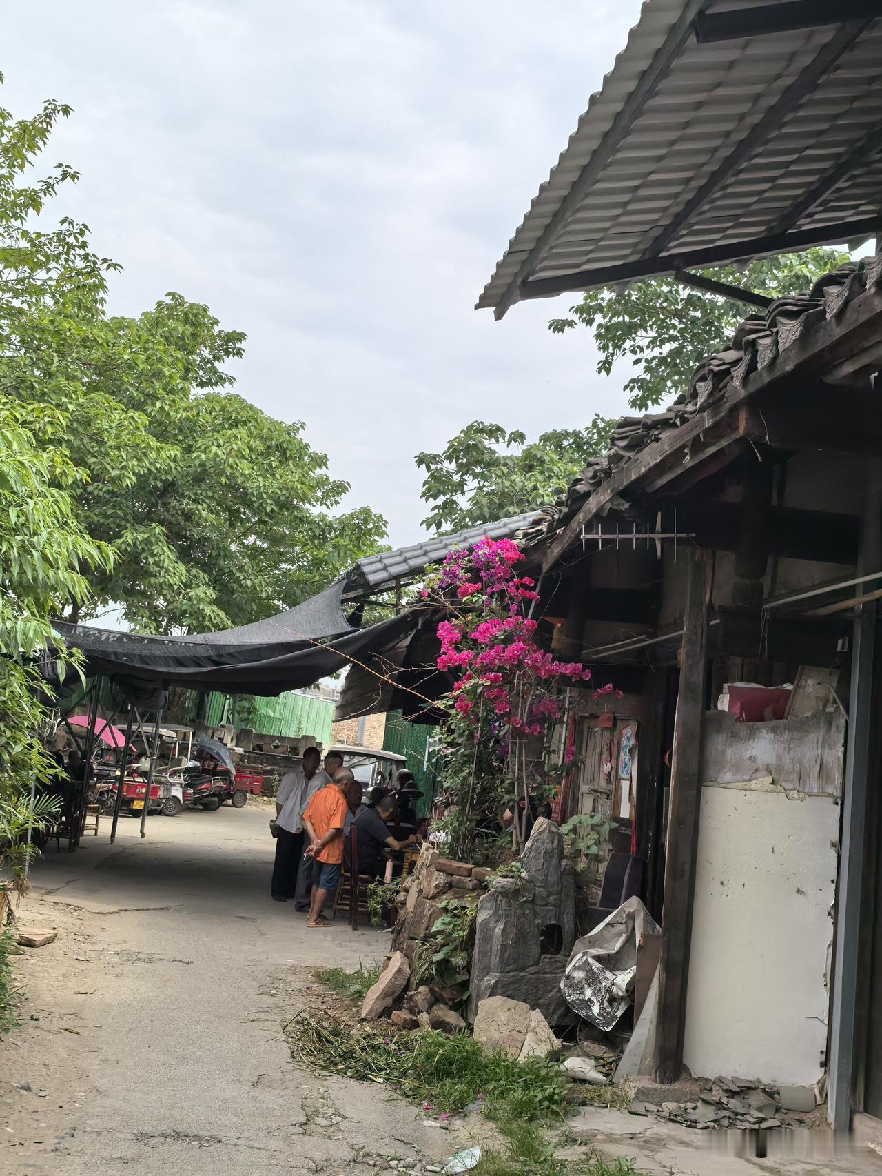 门前屋后，空地随处，分寸之地，逐日而争，开得灿烂夺目，艳得争奇夺妍。