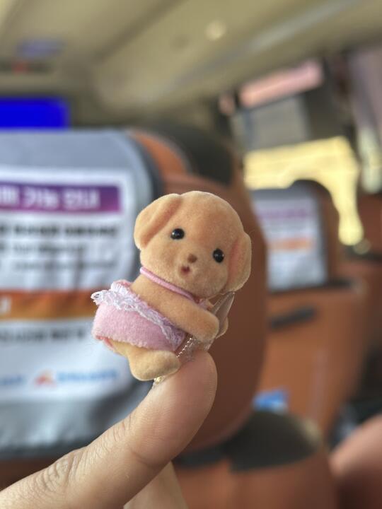 妈妈 我搭上仁川机场豪华巴士啦！
